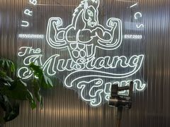 -TMG潮流健身(奥体莲荷里店)