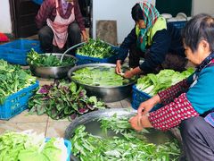 -上膳源有机农场