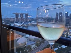 -新加坡瑞士史丹福酒店