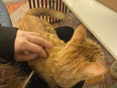 -BABANA烧烤·龙虾·海鲜