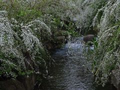 -中国茶叶博物馆(双峰馆区)