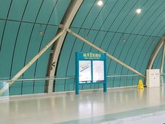 -龙阳路磁悬浮列车总站-停车场