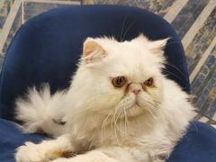 -星光摄影器材城