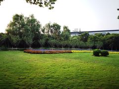 -东华大学(松江校区)