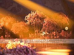 上海浪漫爱都婚礼策划-上海中航虹桥机场泊悦酒店