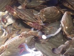 -V-ONE西雅图海鲜自助餐厅(仓山万达广场店)