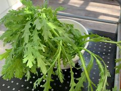 -岳合轩老北京涮肉