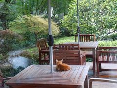 -浙江西子宾馆·瑶园咖啡厅