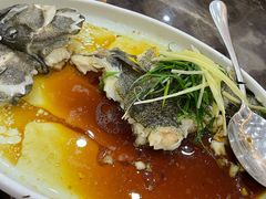 老虎斑-蚝专家(北滘店)