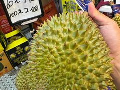 -油麻地果栏