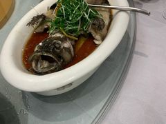 清蒸海桂鱼-荣誉大酒店·荣誉海鲜酒楼(晋江电力店)
