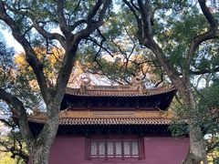 -普陀山风景名胜区-法雨禅寺
