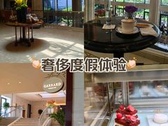 -羿庭 Peacock Alley(上海外滩华尔道夫酒店)
