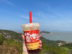 -南澳岛打卡果汁冰公司