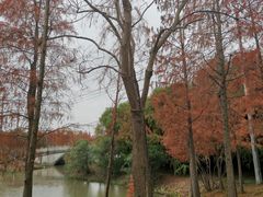 -上海长兴岛郊野公园