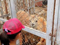 -意大利农场度假村