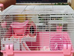 -钓仓鼠(洋桥北里小区店)