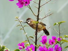 -三岔湖环球融创天堂洲际酒店水乐园