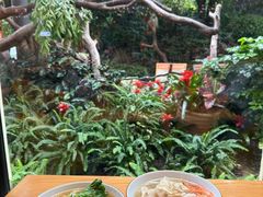 -美食小镇·观赏珍稀鸟类·长隆熊猫酒店