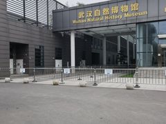 -武汉园博园(武汉自然博物馆)