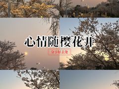 -羊山湖公园
