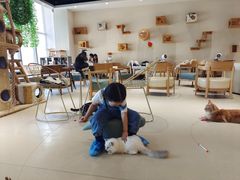 -藏猫猫咖啡主题馆(中央大道店)