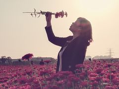 -映月湖中央公园