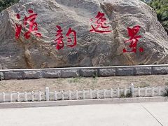 -塘沽森林公园