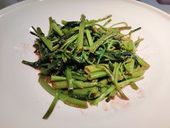 -桂满陇-望山(虹口龙之梦店)