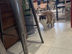 -seeu coffee(江滩店)