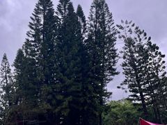 -人民公园(罗湖区)