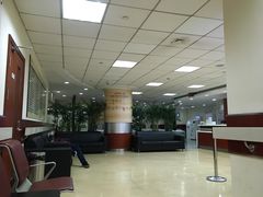 -上海中医药大学附属曙光医院(东部)