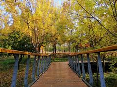 -东郊湿地公园