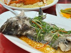 -新锦鸿(演达店)