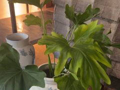 -茶肆(仙林店)