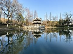 -习家池