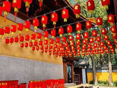 -亭林园-华藏寺