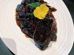 -新白鹿餐厅(虹桥南丰城店)