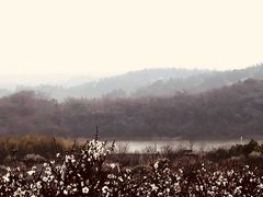-南京市无想山景区