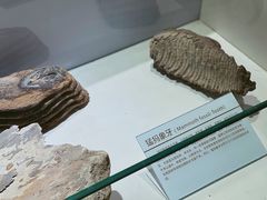 -中国第四纪冰川遗迹陈列馆