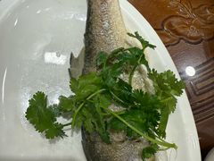 -长平肥姐白粥·海鲜打冷