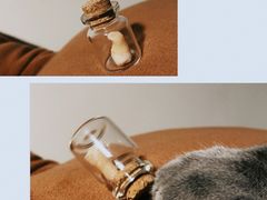 -齐玉齿科JADENTAL
