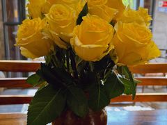 -蓝壁虎咖啡酒馆