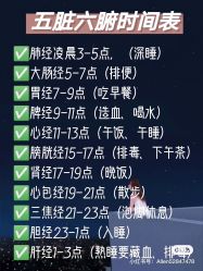 -香薇妮丝·定制减肥·身材管理