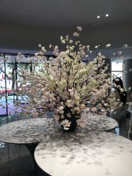 -广州美莱医疗美容医院