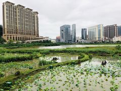 -龙环葡韵住宅式博物馆