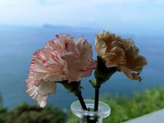 -蜜悦·波西塔诺悬崖海景餐厅