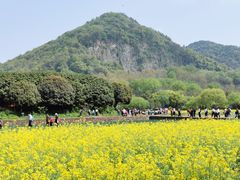-八卦田遗址公园
