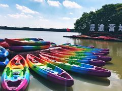 -上海海湾国家森林公园