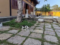 -平湖九龙山旅游度假区